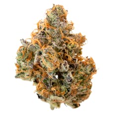 Pineapple Buds - HAWAIIAN PINEAPPLE - 3.5