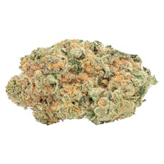 Big Bag O' Buds - Tropicanna Tangie - Tropicanna Tangie 7g Dried Flower