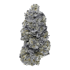 JGR by Woody Nelson (Kootenay Quantum) - 14g