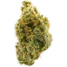 Orange Tangie PR's (3x0.5g) - Jackpot