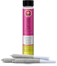 Pink Bubblegum Infused Pre-Rolls by DEALR Infused - Pink Bubblegum Infused Pre-Rolls - 3x0.5g