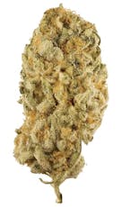 Station House Jack Herer 3.5g