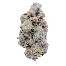 LaHoja - Platinum Blue Gellati - Platinum Blue Gellati 3.5g Dried Flower