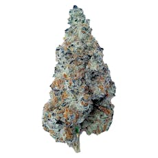 The Florist - Slurriboof Whole Flower - Slurriboof Whole Flower 7g Dried Flower