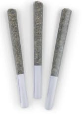 Great White Shark Pre-Rolls by BC Doobies - Great White Shark Pre-Rolls - 3x0.5g