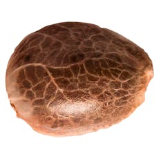 Apple Cobbler Feminized Seeds by 34 Street Seed Co. - Apple Cobbler Seeds - 5 Pack