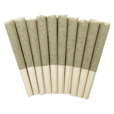Storm Indica Pre-Roll- SKOSHA - Storm Indica Pre-Roll 10x0.5g Pre-Rolls