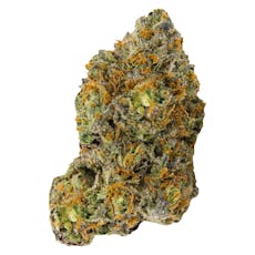 Variant 14g Dried Flower L024