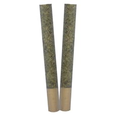 IGNITE PRE-ROLLS - Trygg - IGNITE PRE-ROLLS - 2
