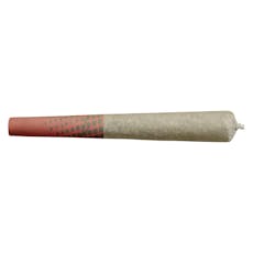 Blueberry Dream Pre-Roll 10x0.5g Pre-Rolls