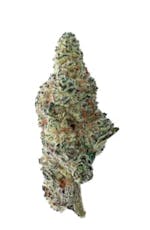 Tropicana Cookies 28g