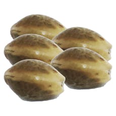 HomeGrow with Freedom Silver Haze Sativa (Feminaized Auto-flower) 5 Pack Seeds - Silver Haze (Feminaized Auto-flower) 5 Pack Seeds