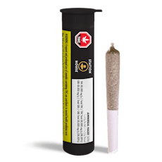 Amnesia Haze Pre-Roll by Station House - Amnesia Haze Pre-Roll - 1x0.5g