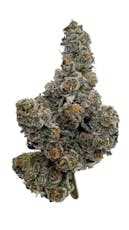 Gastro Pop by Amani Craft - Gastro Pop - 7g