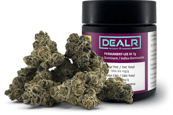 Permanent-Lee Hi by Dealr - Permanent-Lee Hi - 7g