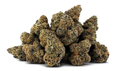 Blizzard of OZ by DEALR - Blizzard of OZ - 14g