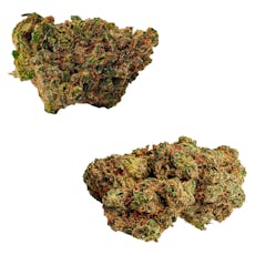 BOLD - Rotating Duo 7g Dried Flower