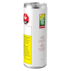 COLLECTIVE PROJECT CBG Raspberry & Lime Sparkling Botanical Water. - 355mL