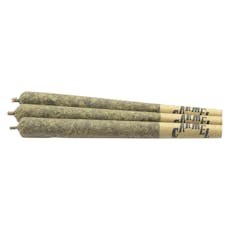 (NEWM14L) Carmel - Envy Pre-Rolls - Envy Pre-Roll 3x0.5g