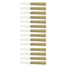 The Loud Plug - Platinum Punch Pre-Roll - Platinum Punch Pre-Roll 14x0.5g Pre-Rolls