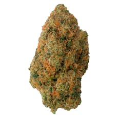 CONSPIRACY Reptilian Reserve 7 - 7G