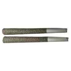 FROST CANNABIS 91 Royale Pre-Roll 2x1g