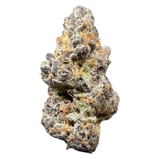 SPACE BROS Tropic Fuel 7g