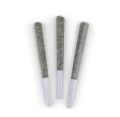BC Doobies - Great White Shark Pre Rolls - GREAT WHITE SHARK PRE-ROLLS - 1.5