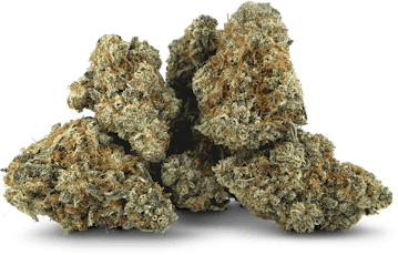 Hannibal Nectar by Dealr - Hannibal Nectar - 7g