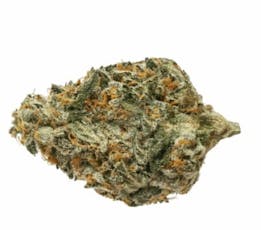 Dank Sinatra by Sassy Weed - Dank Sinatra - 7g