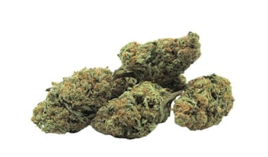 Romulan Grapefruit - Green Mountain - Romulan Grapefruit - 14g