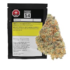 FOUR54 - Route 66 - FOUR54 - Route 66 1g