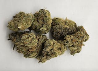 Mango Cream - Bandwagon - Mango Cream (7g)