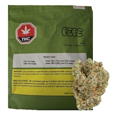 Pepe - Peach Tree 28g - Pepe - Peach Tree 28g