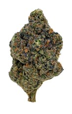 Gasolina by 1964 - Gasolina - 7g