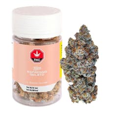 TENZO - Espresso Gelato - TENZO - Espresso Gelato 7g