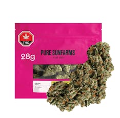 PSF Pink Kush by Pure Sunfarms - PSF Pink Kush 28G