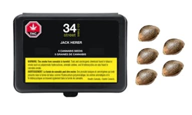 Jack Herer Seeds - Jack Herer Seeds