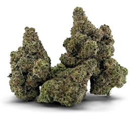 Honey Fresca by BC 1/4 - Honey Fresca - 7g