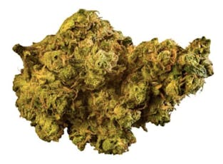 Phant Craft - Headbanger - 7g