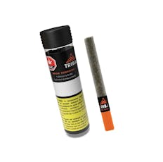 Neon Sunshine Pre-Roll with Ceramic Tip 1x1g by Tribal