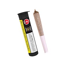 Jack Herer 1x0.5g Pre-Roll by Station House - Jack Herer Pre-Roll 1x0.5g Pre-Rolls