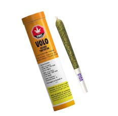 Orange Turpentine 1x0.7g by Volo