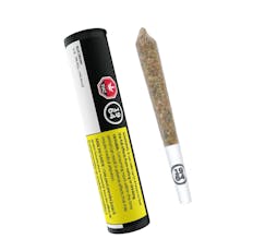 Blue Dream by 1964 - Blue Dream 1x1g