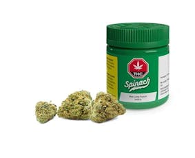 Kiwi Lime Punch - Kiwi Lime Punch (3.5g)