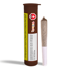 Beaver Tail Pre-Roll by Potluck - Beaver Tail Pre-Roll - 1x0.5g