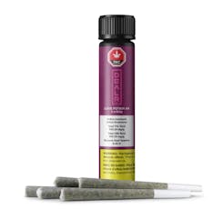 DEALR - Love Potion #9 Pre-Rolls - LOVE POTION #9 PRE-ROLLS - (5 x 0.5g)