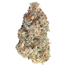 BLK MKT - Britscotti 7g Dried Flower