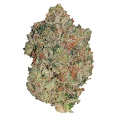 PISTOL & PARIS Lindsay OG 7g