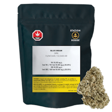 Station House - Blue Dream - BLUE DREAM - 3.5g